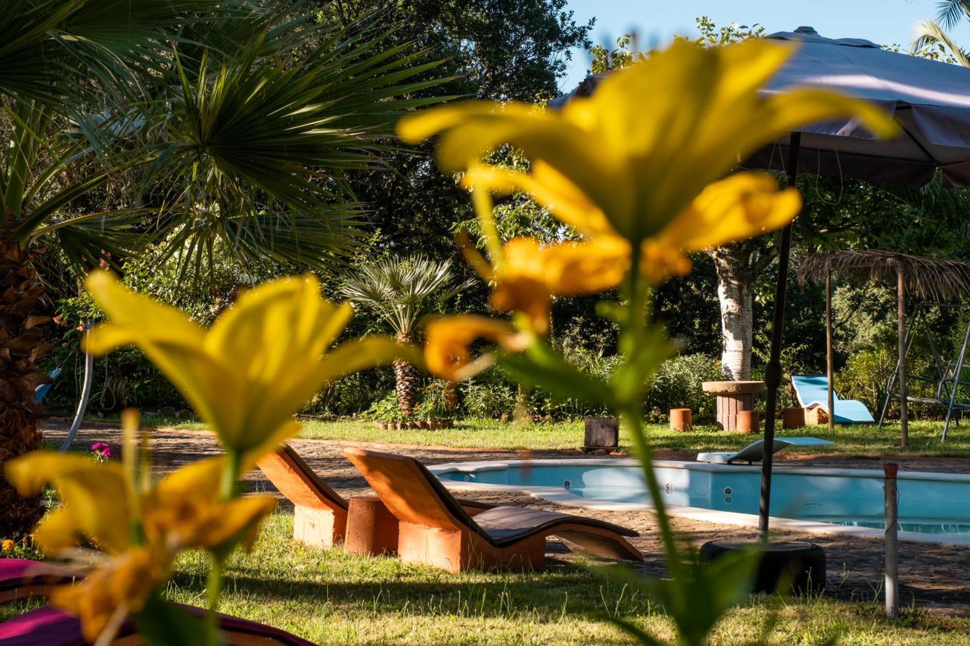 Quinta Dos Sarilhos Hotel Pedrogao Grande Exterior foto